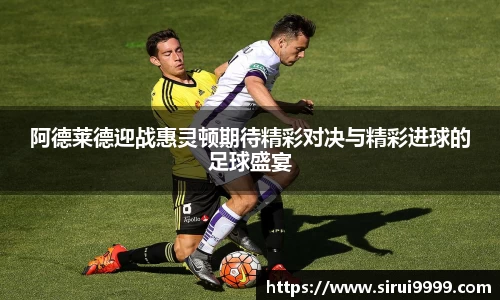 阿德莱德迎战惠灵顿期待精彩对决与精彩进球的足球盛宴